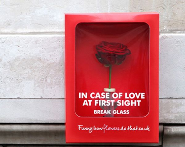 尚略上海廣告設(shè)計(jì)公司分享6荷蘭花卉組織廣告