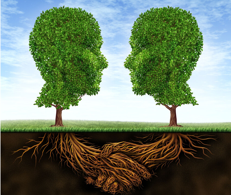 廣告創(chuàng)意設(shè)計，要善于利用“已知決定未知”的認(rèn)知反應(yīng)模式