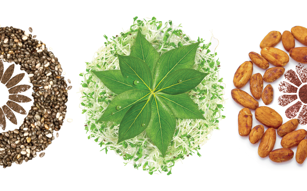 營養(yǎng)食品保健品包裝設計——Nature Own 大自然超級食品營養(yǎng)補充劑包裝設計包裝配圖-尚略廣告品牌策劃公司