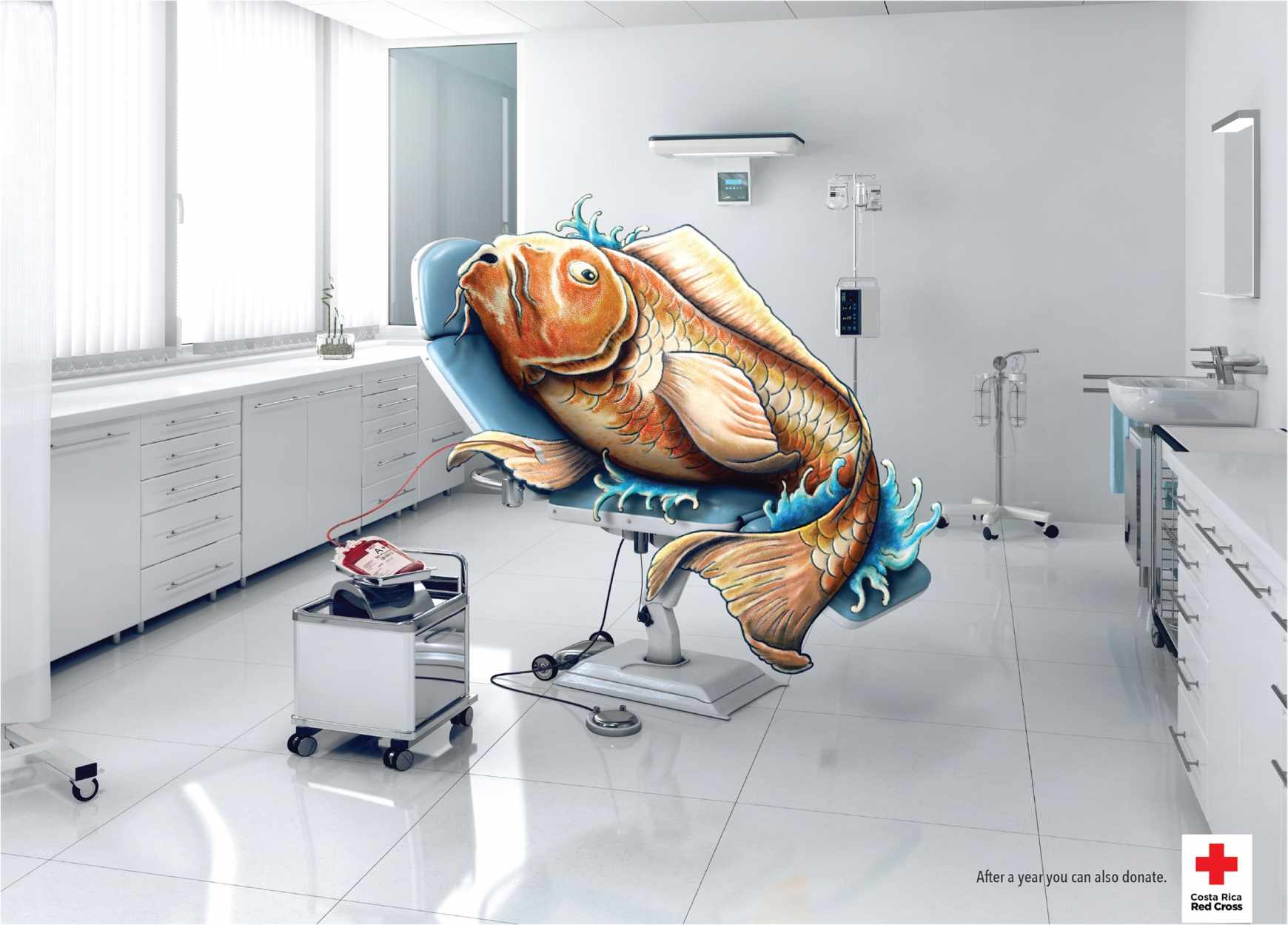 上海廣告設(shè)計(jì)公司——國(guó)際紅十字會(huì)獻(xiàn)血公益廣告設(shè)計(jì)欣賞-魚(yú)篇2 上海廣告設(shè)計(jì)公司——國(guó)際紅十字會(huì)獻(xiàn)血公益廣告設(shè)計(jì)欣賞-魚(yú)篇2