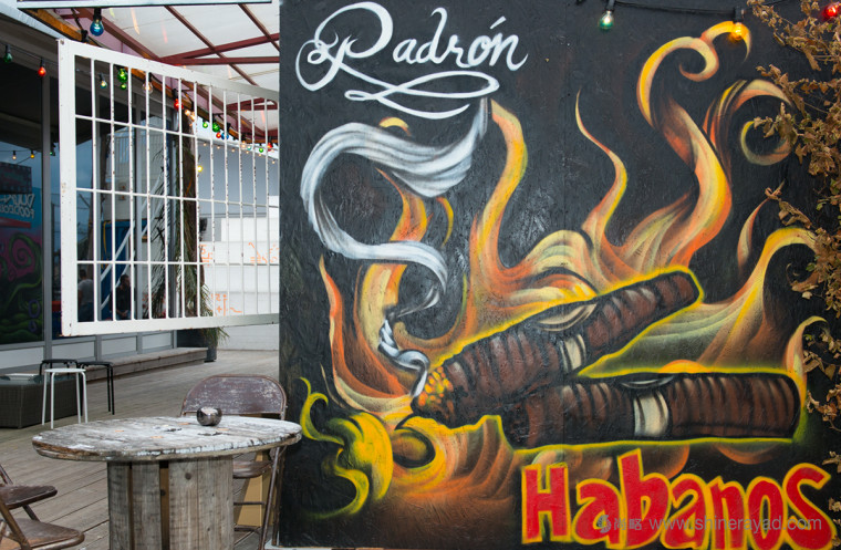 碼頭夜總會海洋生物文化墻壁紙插畫設(shè)計--上海品牌設(shè)計公司欣賞7