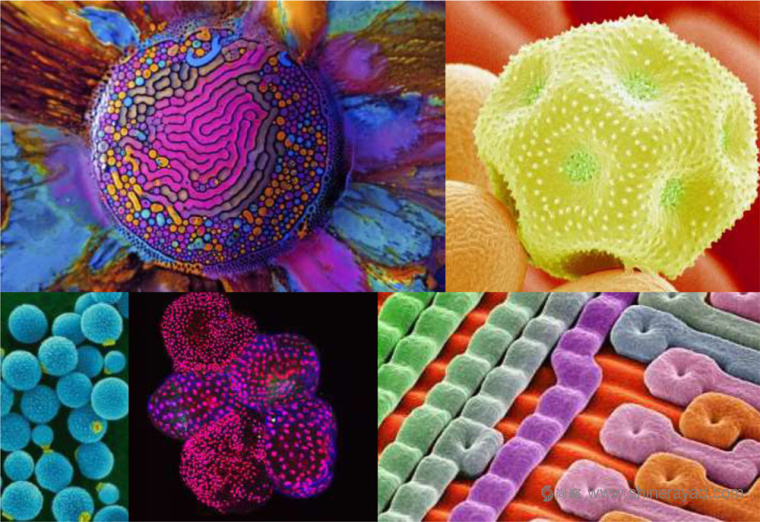 德國默克集團(tuán)新英文文字商標(biāo)LOGO設(shè)計(jì)-上海LOGO設(shè)計(jì)公司設(shè)計(jì)資訊4