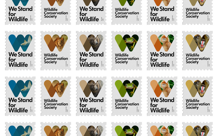 WCS國(guó)際野生生物保護(hù)學(xué)會(huì)品牌VI形象設(shè)計(jì)-上海VI設(shè)計(jì)公司5