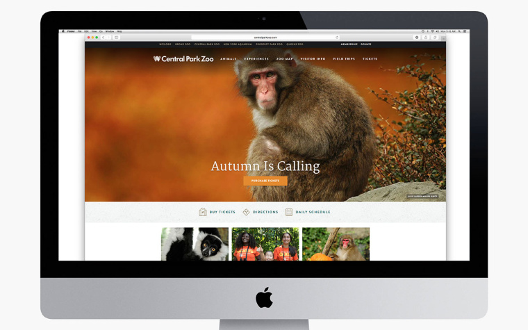 WCS國(guó)際野生生物保護(hù)學(xué)會(huì)品牌VI形象設(shè)計(jì)-網(wǎng)站設(shè)計(jì)-上海VI設(shè)計(jì)公司12