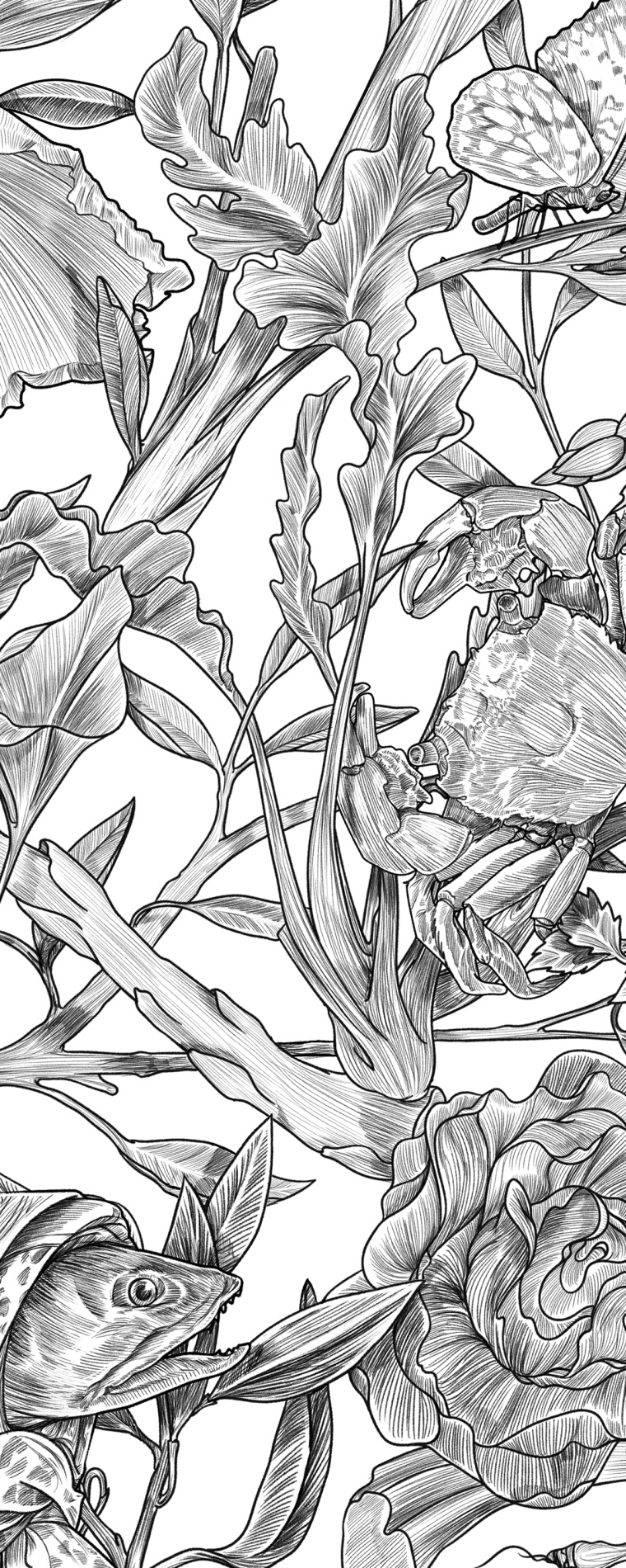 Botanique 餐廳植物鳥兒插畫設(shè)計(jì)-上海品牌形象設(shè)計(jì)公司5