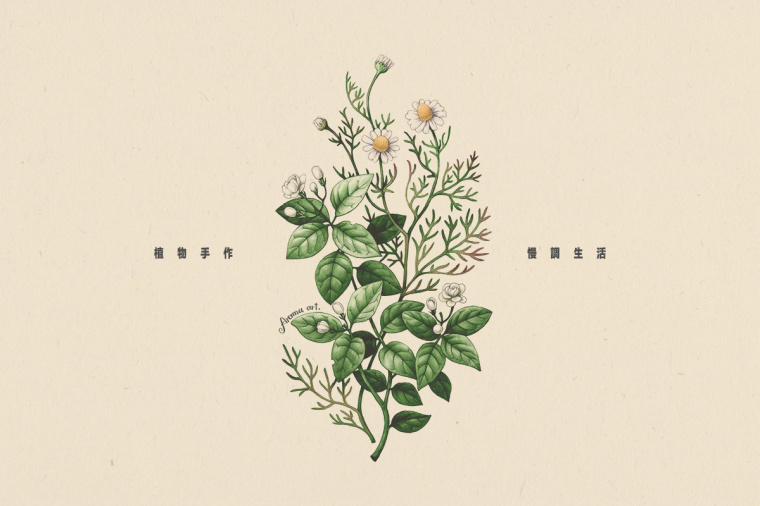 香圃芳香生活用品品牌VI設(shè)計(jì)-上海VI設(shè)計(jì)公司8 香圃芳香生活用品品牌VI設(shè)計(jì)-上海VI設(shè)計(jì)公司8