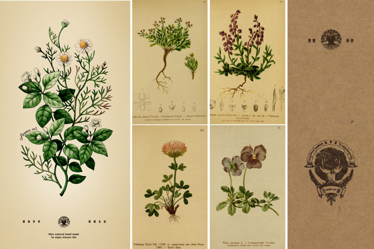 香圃芳香生活用品品牌VI設(shè)計(jì)-上海VI設(shè)計(jì)公司10 香圃芳香生活用品品牌VI設(shè)計(jì)-上海VI設(shè)計(jì)公司10