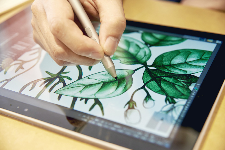 香圃芳香生活用品品牌手繪插畫設(shè)計(jì)25 香圃芳香生活用品品牌手繪插畫設(shè)計(jì)25