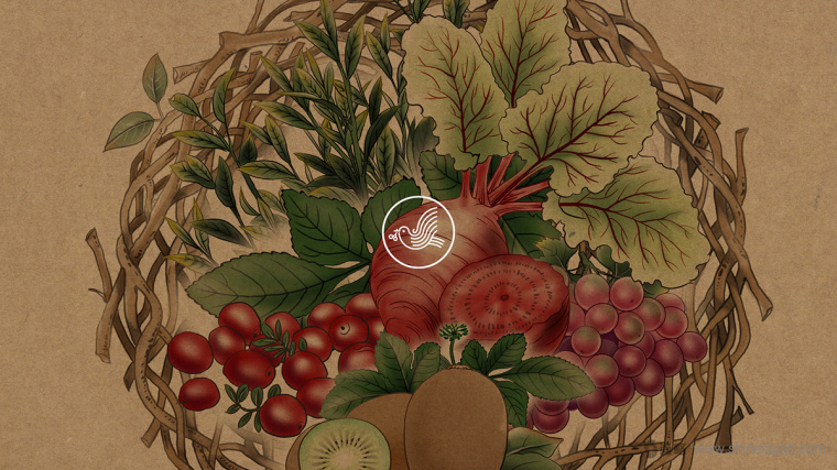 臺灣樂酶酵素包裝設(shè)計-上海包裝設(shè)計公司包裝佳作欣賞1