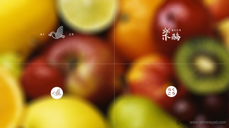 臺灣樂酶酵素品牌LOGO設(shè)計10