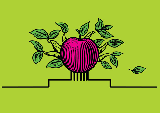 Cide蘋果酒梨子酒果酒包裝設(shè)計-水果插畫酒標(biāo)設(shè)計-上海包裝設(shè)計公司設(shè)計品鑒5 Cide蘋果酒梨子酒果酒包裝設(shè)計-水果插畫酒標(biāo)設(shè)計-上海包裝設(shè)計公司設(shè)計品鑒5