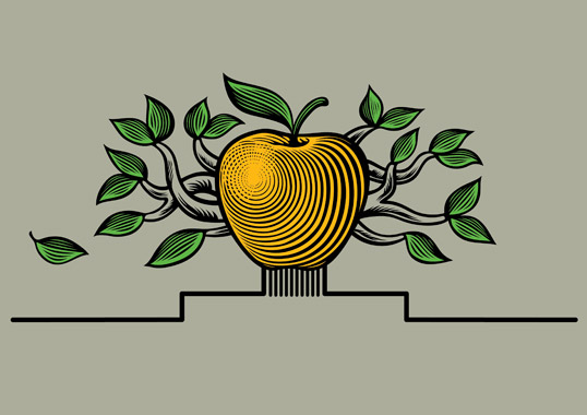 Cide蘋果酒梨子酒果酒包裝設(shè)計-水果插畫酒標(biāo)設(shè)計-上海包裝設(shè)計公司設(shè)計品鑒8 Cide蘋果酒梨子酒果酒包裝設(shè)計-水果插畫酒標(biāo)設(shè)計-上海包裝設(shè)計公司設(shè)計品鑒8