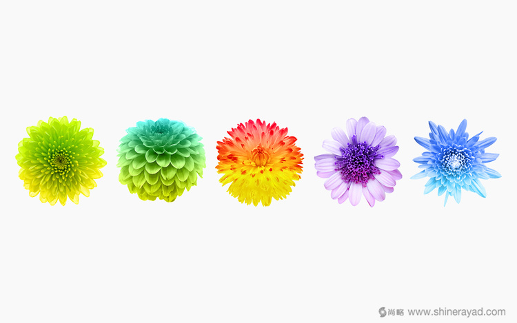 3上海包裝設(shè)計(jì)公司包裝欣賞-FOHATSU 日式花茶茶葉包裝設(shè)計(jì)-3