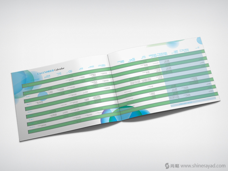 2015年新年國際年舞蹈節(jié)宣傳畫冊設計-上海畫冊設計公司欣賞4