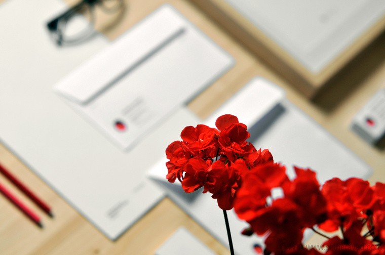 2.上海LOGO設(shè)計(jì)公司-Carmen Suero 心理健康咨詢機(jī)構(gòu)LOGO設(shè)計(jì)