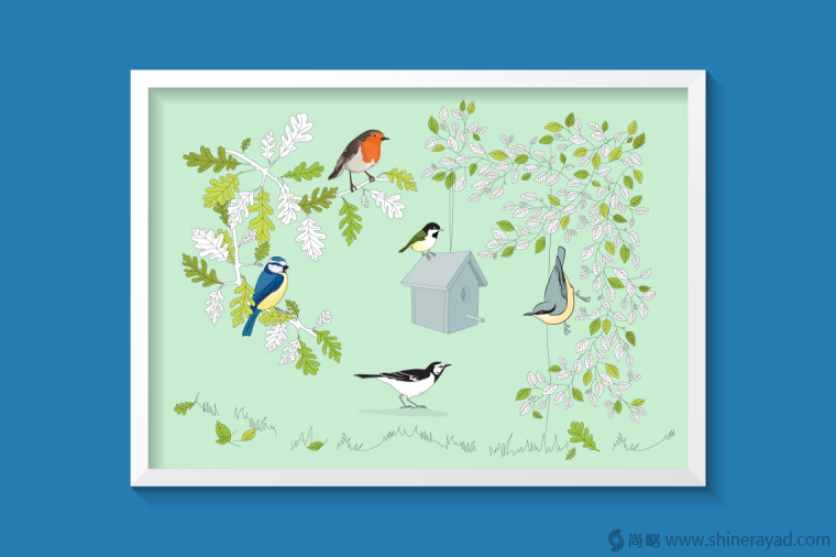 英國(guó)鳥類插畫設(shè)計(jì)-上海插畫設(shè)計(jì)公司-上海品牌設(shè)計(jì)公司2