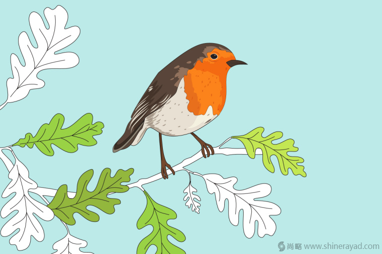 英國(guó)鳥類插畫設(shè)計(jì)-上海插畫設(shè)計(jì)公司-上海品牌設(shè)計(jì)公司5