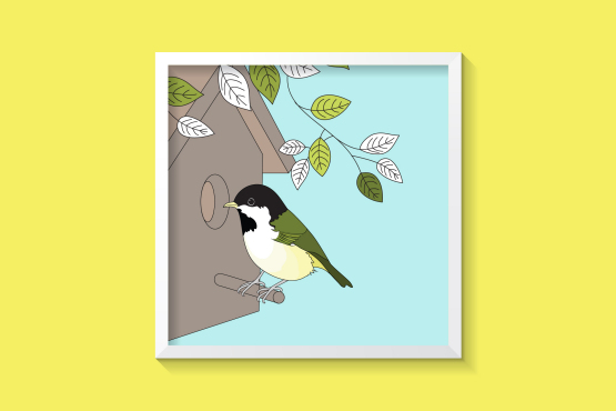 英國(guó)鳥類插畫設(shè)計(jì)-上海插畫設(shè)計(jì)公司-上海品牌設(shè)計(jì)公司4