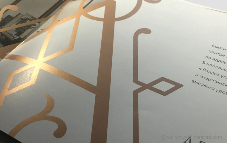 4.1.上海畫(huà)冊(cè)設(shè)計(jì)公司-金色風(fēng)格 AESTHETICA 美容護(hù)膚連鎖店企業(yè)宣傳畫(huà)冊(cè)設(shè)計(jì)欣賞 4.1.上海畫(huà)冊(cè)設(shè)計(jì)公司-金色風(fēng)格 AESTHETICA 美容護(hù)膚連鎖店企業(yè)宣傳畫(huà)冊(cè)設(shè)計(jì)欣賞