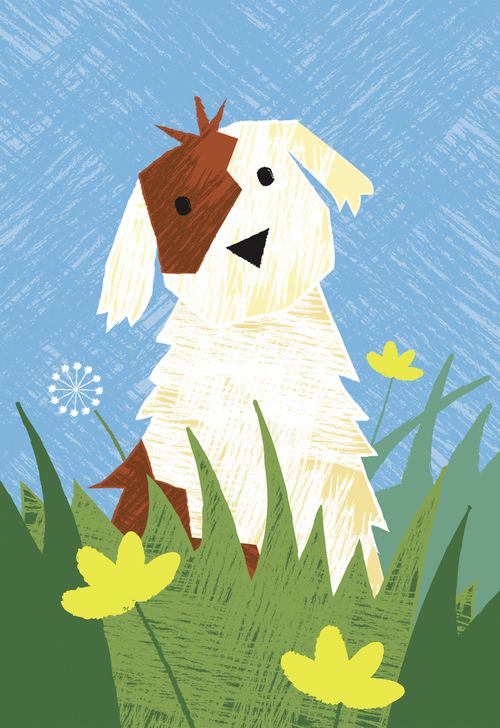 Bob Martin 寵物衛(wèi)生護理用品品牌春天系列包裝設(shè)計-上海包裝設(shè)計公司7