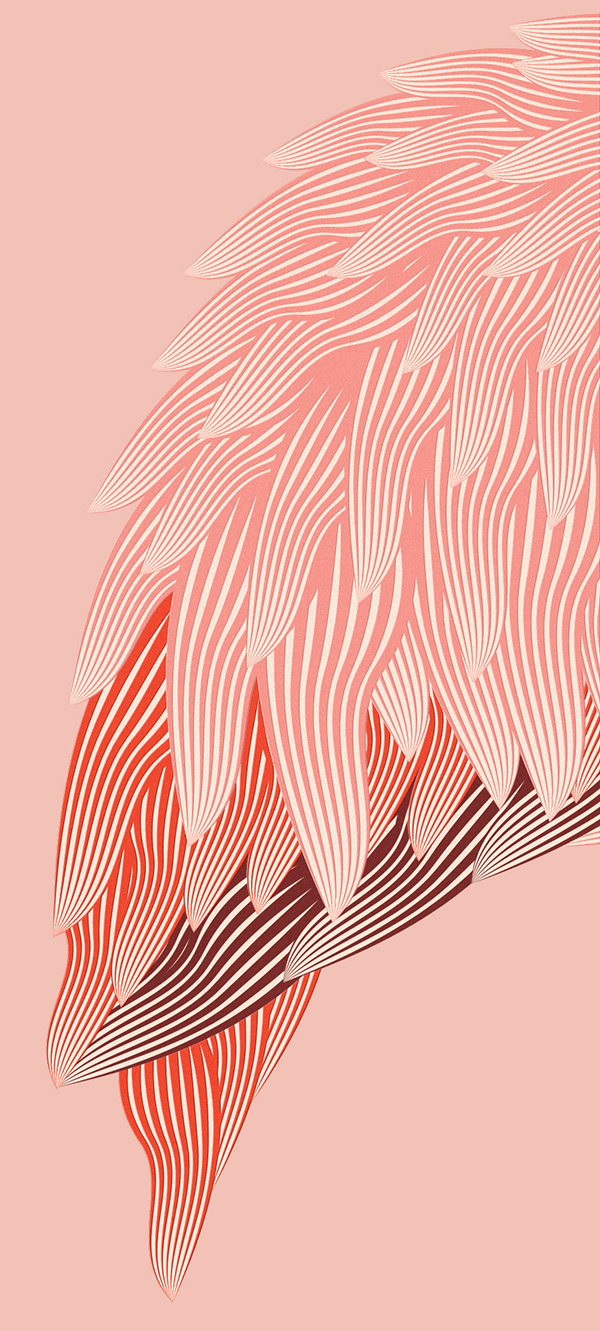 上海包裝設(shè)計公司設(shè)計欣賞：火烈鳥玫瑰酒包裝設(shè)計7