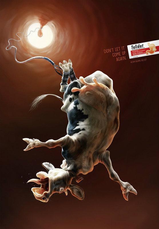 Talidat胃藥動物篇廣告2-上海廣告設計公司 http://907632.com/