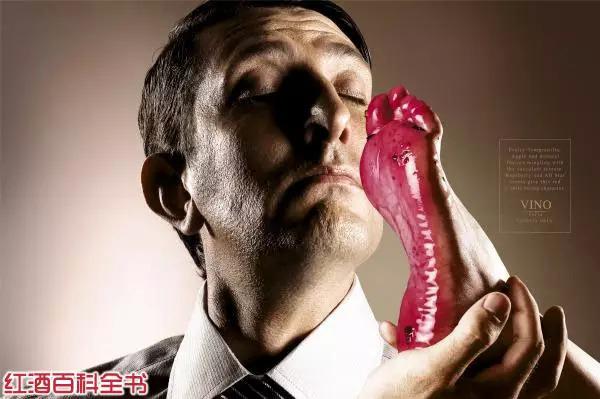 Vinosofia葡萄酒平面廣告3