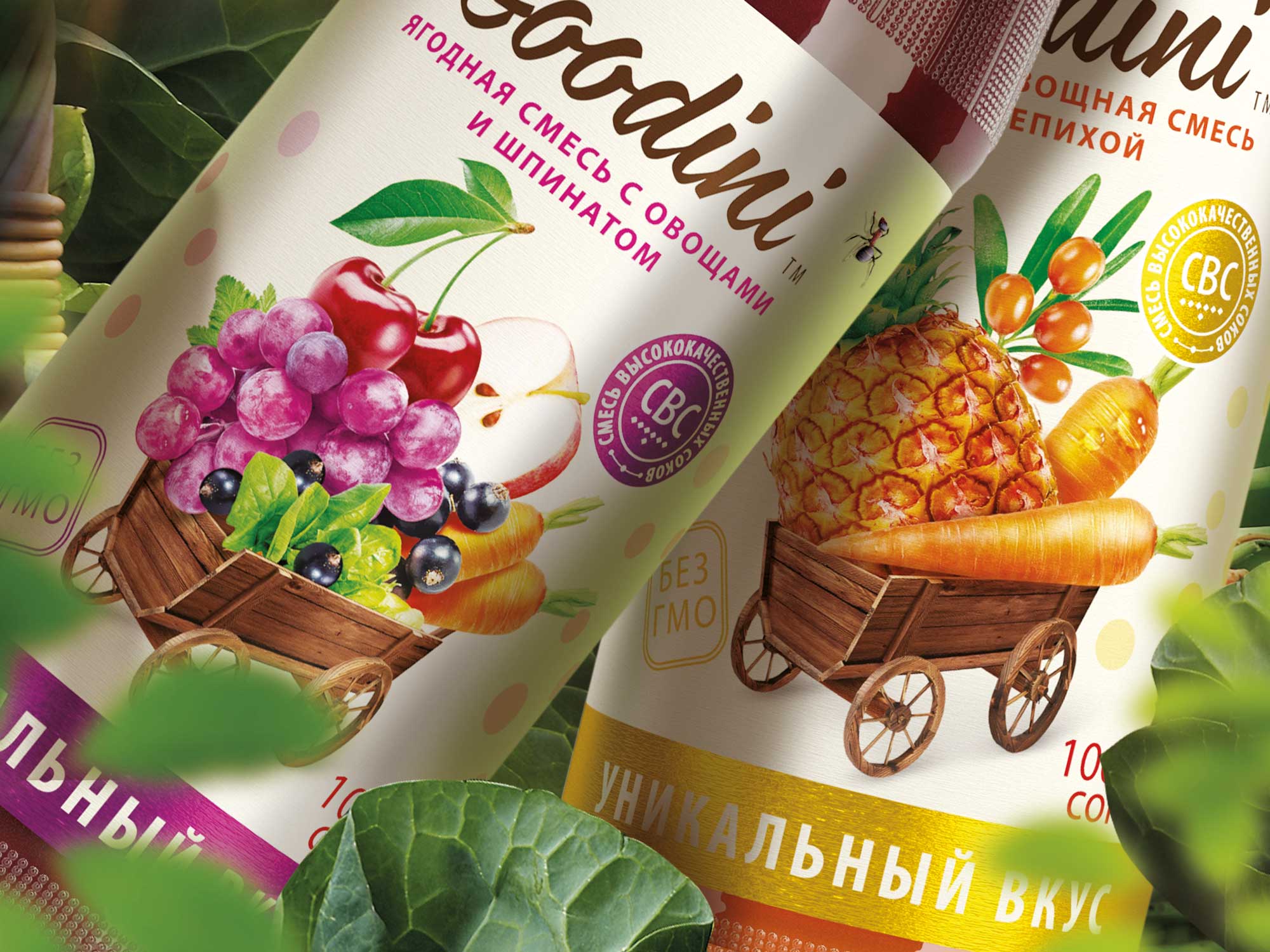 Goodini混合果蔬汁包裝設計-上海包裝設計公司國外包裝設計欣賞2