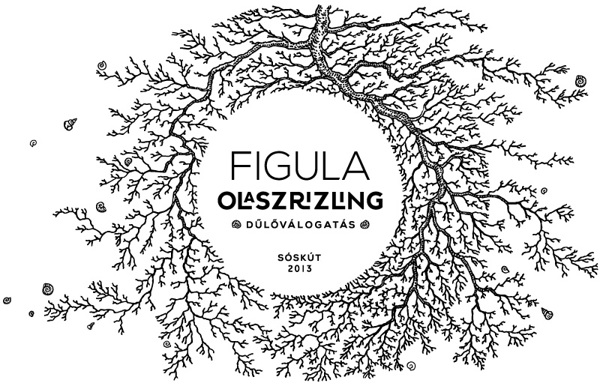 Figula 葡萄酒葡萄藤黑色線條包裝設(shè)計(jì)-上海包裝設(shè)計(jì)公司設(shè)計(jì)欣賞2