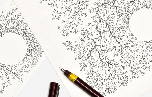 Figula 葡萄酒葡萄藤黑色線條包裝設(shè)計(jì)-上海包裝設(shè)計(jì)公司設(shè)計(jì)欣賞12