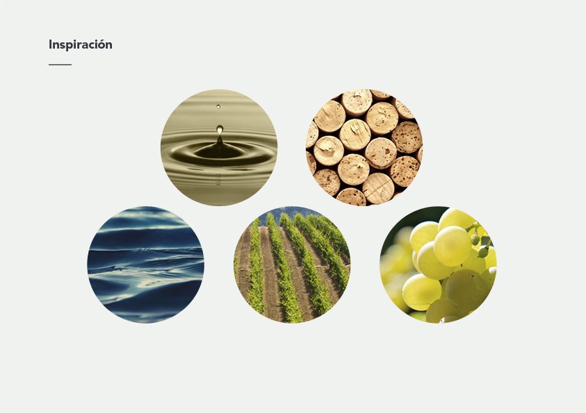 Condes de Albarei 葡萄酒莊logo設計3