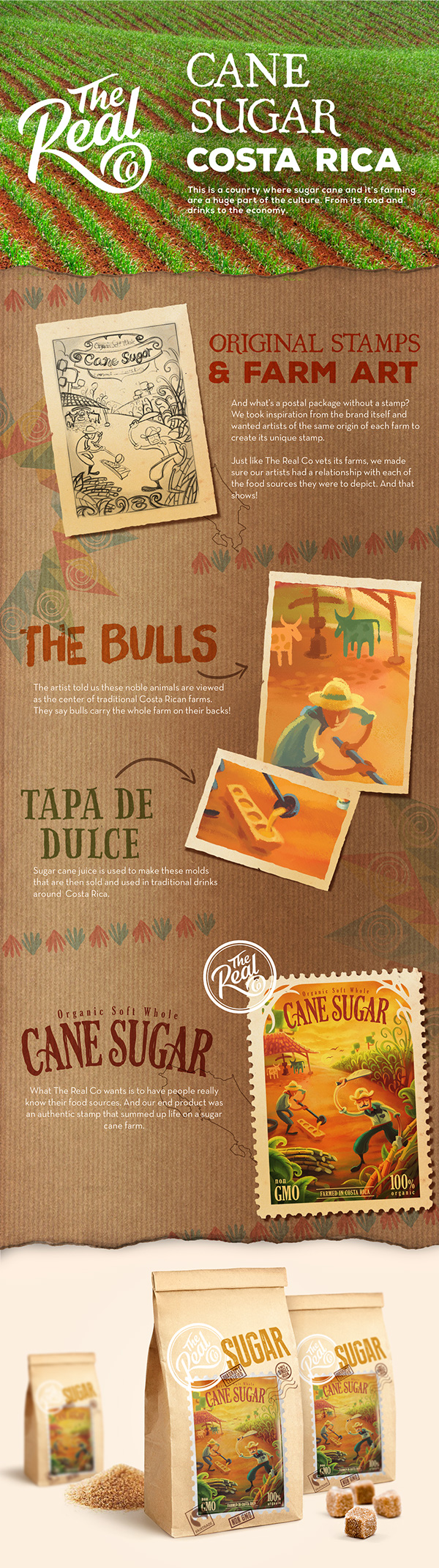 The Real Co有機(jī)糧食包裝設(shè)計(jì)-上海包裝設(shè)計(jì)公司分享1