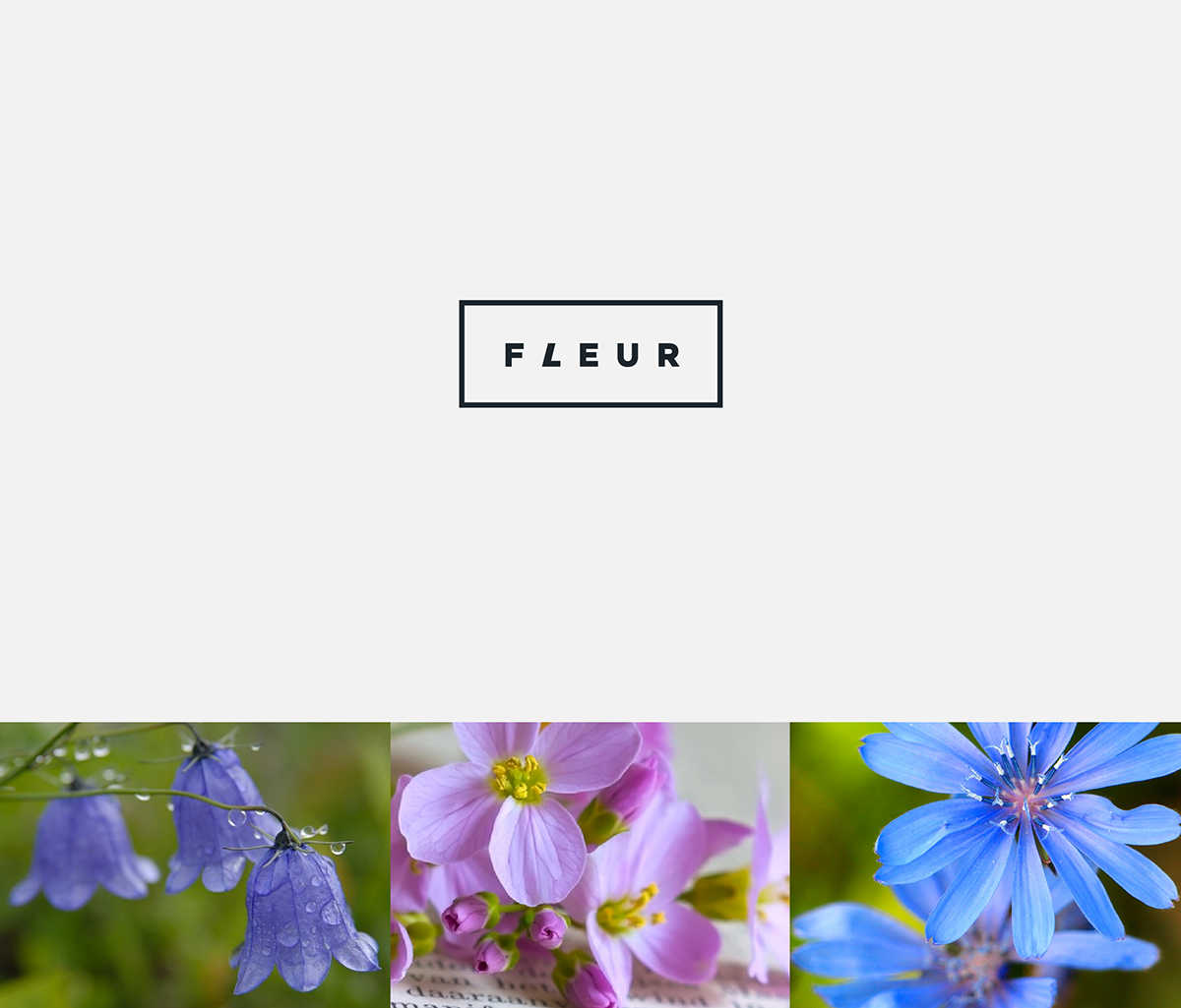 FLEUR化妝品品牌標(biāo)志設(shè)計(jì)1
