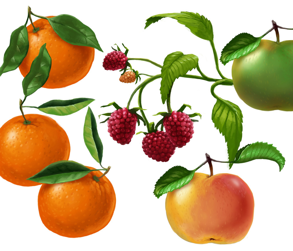 Gestus果汁瓶裝包裝設(shè)計(jì)之插畫(huà)