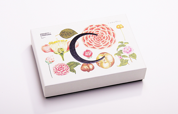 上?；瘖y品包裝設(shè)計(jì)公司包裝欣賞：CAMELLIA 山茶花化妝品包裝設(shè)計(jì)1