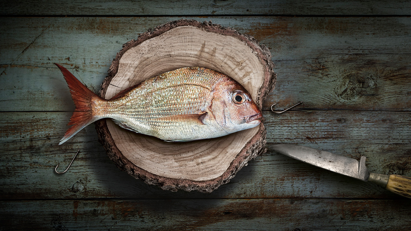 美國(guó)聯(lián)合漁業(yè)公司海鮮海魚畫冊(cè)設(shè)計(jì)5