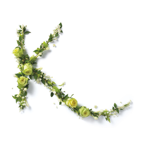 K花卉字母