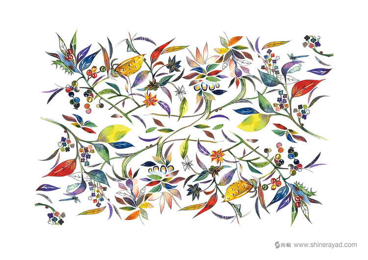 香野調(diào)臺灣閩南調(diào)味品包裝設(shè)計-包裝插圖設(shè)計