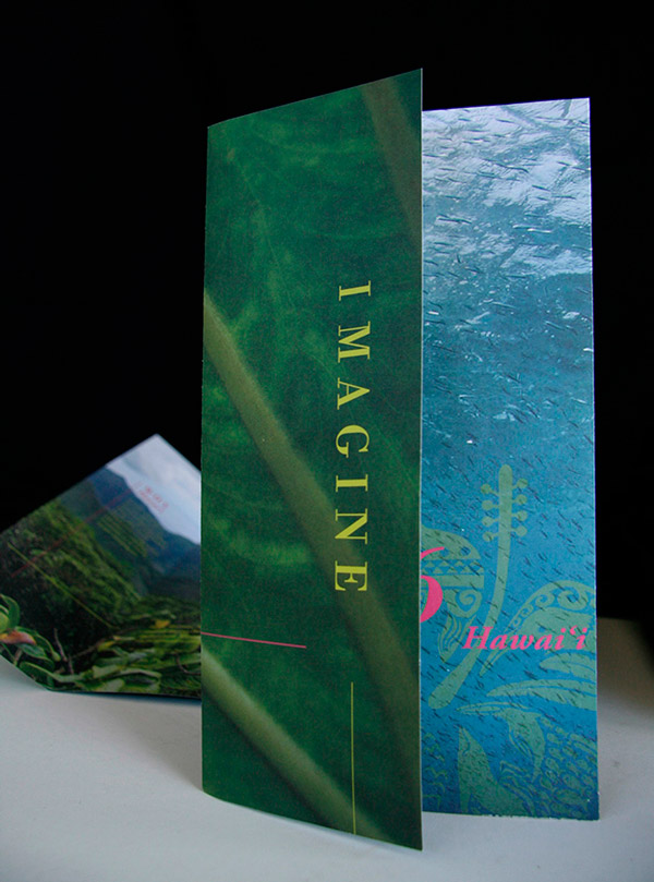 2016年世界自然保護(hù)大會(huì)會(huì)徽標(biāo)志設(shè)計(jì)上線-6