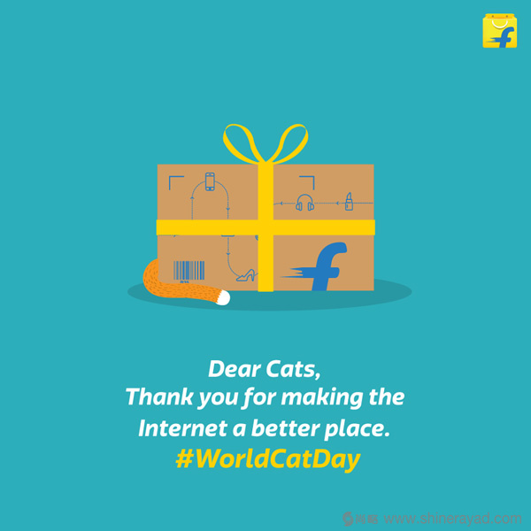 度最大的電商公司Flipkart黃色購(gòu)物袋LOGO設(shè)計(jì)4-包裝盒子設(shè)計(jì) 度最大的電商公司Flipkart黃色購(gòu)物袋LOGO設(shè)計(jì)4-包裝盒子設(shè)計(jì)