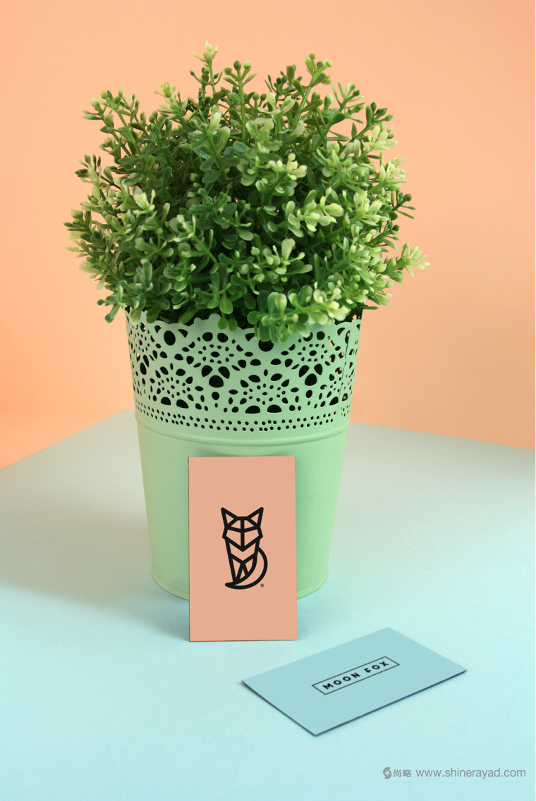 moon fox 月亮狐貍女性內(nèi)衣服飾品牌VI形象設(shè)計14