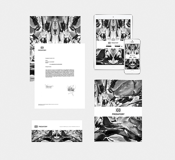 PREDATORY 女式手表品牌設(shè)計(jì)3