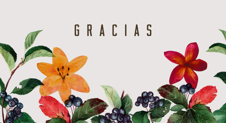 Quara 含酒精果味飲料品牌形象設(shè)計7