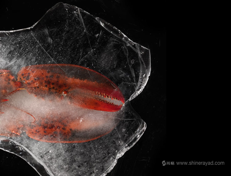 龍蝦大師品牌包裝設(shè)計(jì)龍蝦圖片設(shè)計(jì)-上海包裝設(shè)計(jì)公司3 龍蝦大師品牌包裝設(shè)計(jì)龍蝦圖片設(shè)計(jì)-上海包裝設(shè)計(jì)公司3