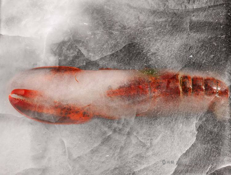 龍蝦大師品牌包裝設(shè)計(jì)龍蝦圖片設(shè)計(jì)-上海包裝設(shè)計(jì)公司5 龍蝦大師品牌包裝設(shè)計(jì)龍蝦圖片設(shè)計(jì)-上海包裝設(shè)計(jì)公司5