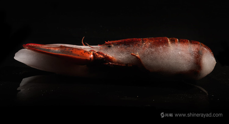 龍蝦大師品牌包裝設(shè)計(jì)龍蝦圖片設(shè)計(jì)-上海包裝設(shè)計(jì)公司6 龍蝦大師品牌包裝設(shè)計(jì)龍蝦圖片設(shè)計(jì)-上海包裝設(shè)計(jì)公司6