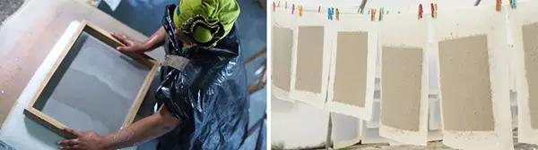 上海包裝設(shè)計(jì)公司尚略廣告分享毛豆農(nóng)產(chǎn)品可持續(xù)包裝設(shè)計(jì)5