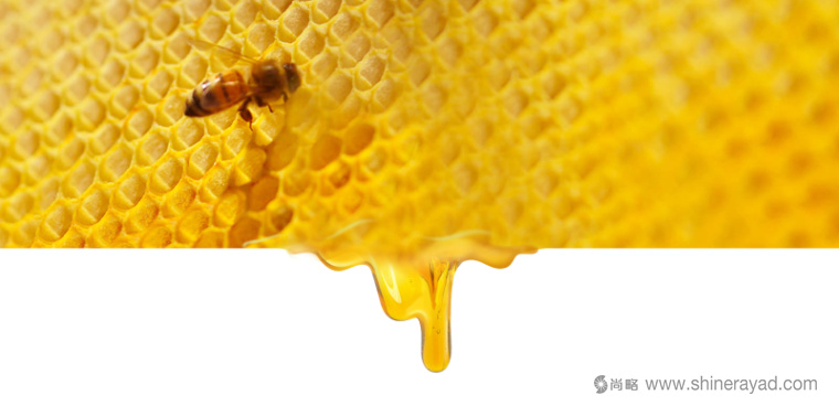 ΤΟ ΜΕΛΙ 蜂蜜金色包裝設(shè)計(jì)-上海包裝設(shè)計(jì)公司-4