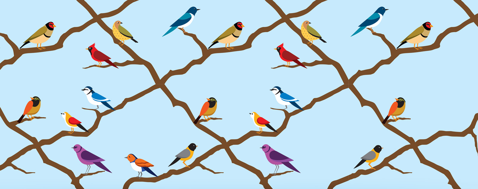 Bonora巧克力包裝設(shè)計-小鳥插畫設(shè)計