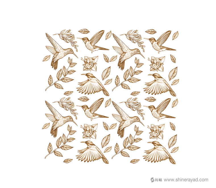 西班牙攝影師工作室Jota品牌VI形象設計花鳥插畫設計4